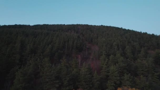 Avrupa Güzel Renkli Yoğun Orman — Stok video