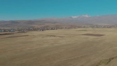 Sığır sürüsü ve otlaktaki koyun sürüsü.