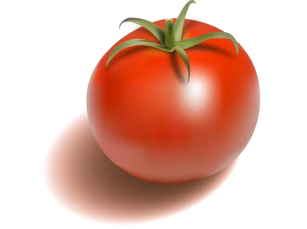 Tomat - Stok Vektor