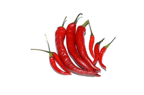 Chiles rojos picantes sobre blanco Fotos de stock