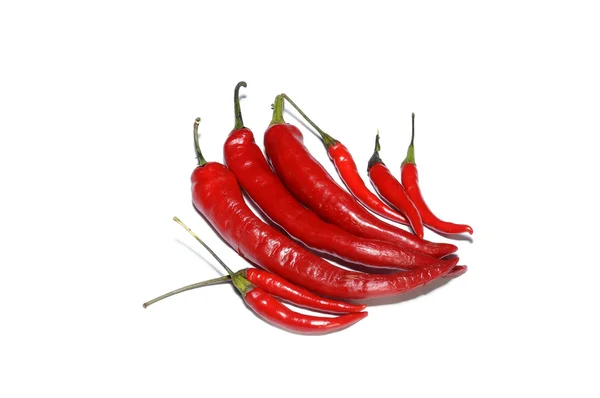 Chiles rojos calientes aislados en blanco Fotos de stock libres de derechos