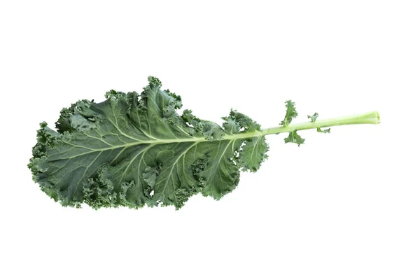 Fresh Green Leaves Kale Green Vegetable Leaves Isolated White Background — Stock Photo, Image