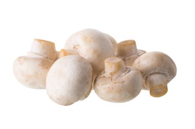 Beyaz champignon mantar, izole Champignon beyaz arka plan üzerinde.