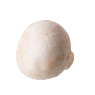 Beyaz champignon mantar, izole Champignon beyaz arka plan üzerinde.
