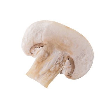 Beyaz champignon mantar, izole Champignon beyaz arka plan üzerinde.