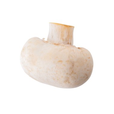 Beyaz champignon mantar, izole Champignon beyaz arka plan üzerinde.