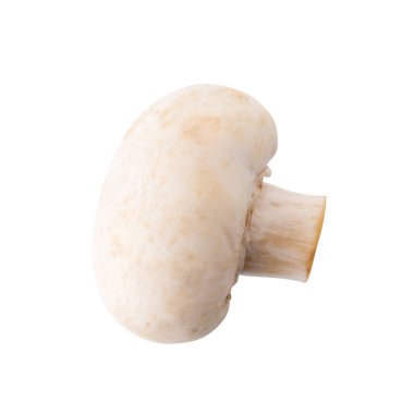 Beyaz champignon mantar, izole Champignon beyaz arka plan üzerinde.