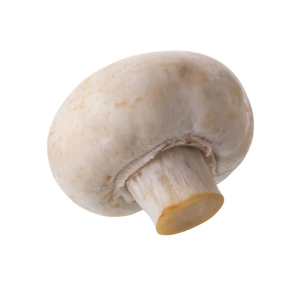 Champignon Blanc Champignon Isolé Sur Fond Blanc Photo De Stock