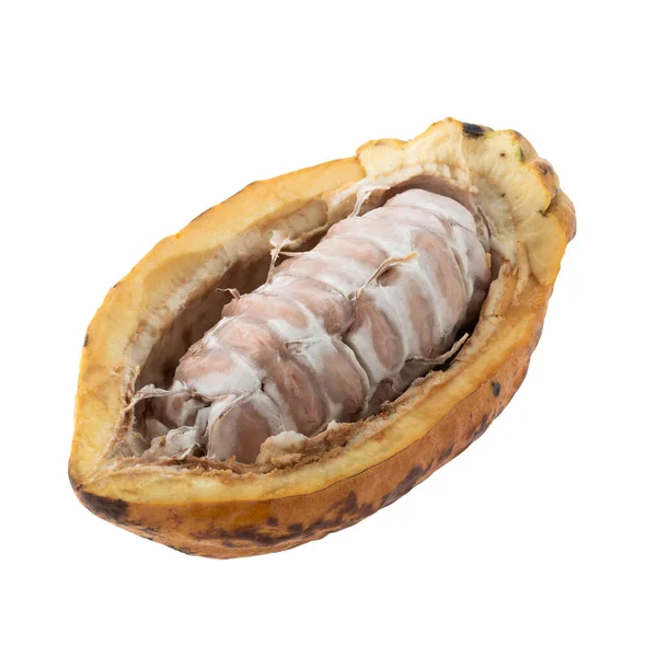 Fruta Cacao Frijoles Cacao Crudos Vaina Cacao Frutos Frescos Cacao — Foto de Stock