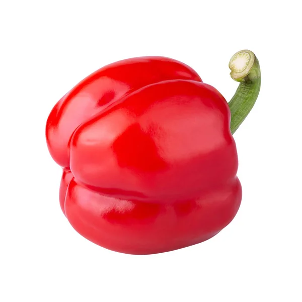 Peperoncino Rosso Isolato Fondo Bianco — Foto Stock