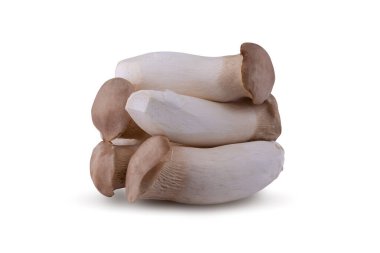 Kral istiridye mantarı beyaz arka planda izole edilmiş..