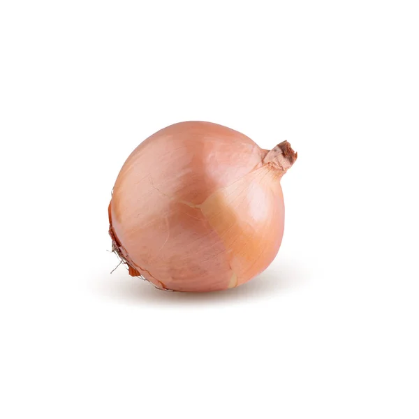 Frische Zwiebelzwiebeln Isoliert Auf Weißem Hintergrund — Stockfoto