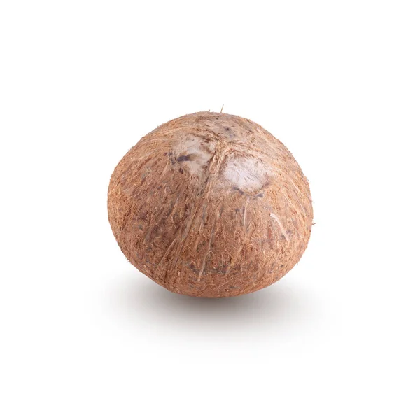 Coconut Isolated White Background — Stock Photo, Image