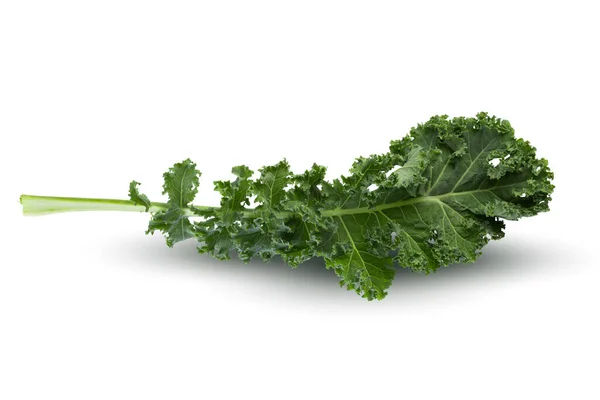 Verse Groene Bladeren Van Kale Groene Groentebladeren Geïsoleerd Witte Achtergrond — Stockfoto