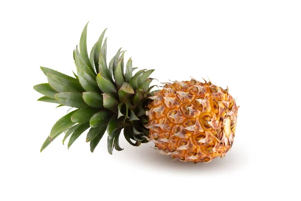 Ripe Pineapple Fruits Summer Fruits Healthy Lifestyle Organic Fruit Isolated — Stock Photo, Image