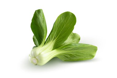 Taze yeşil Çin lahanası, bok choy, pok choi veya pak choi, beyaz arka planda izole edilmiş..
