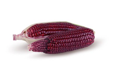 Beyaz arkaplanda izole edilmiş taze mor mısır.