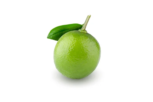 Whole Sliced Limes Sour Green Fruit Isolated White Background — 图库照片