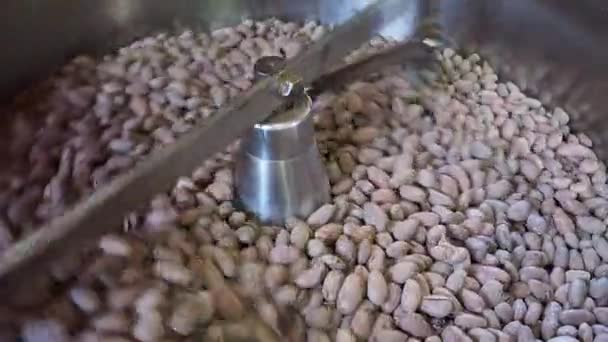 ココア豆のロースト 全体のココア豆をトーストストーブの上で熱いフライパンを攪拌 — ストック動画