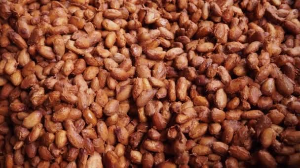 Cacao Beans Dried Drying Platform Being Fermented — Αρχείο Βίντεο