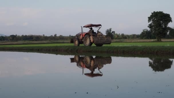 Tracteur Travaillant Sur Terrain Dans Industrie Agricole — Video