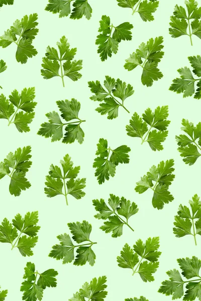 Świeże Liście Selera Zielonym Tle Wzoru — Zdjęcie stockowe