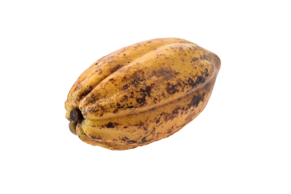 Fresh Cocoa Fruits Isolated White Background — Stock Photo, Image