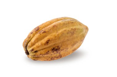 Beyaz arka planda izole edilmiş taze kakao meyveleri.