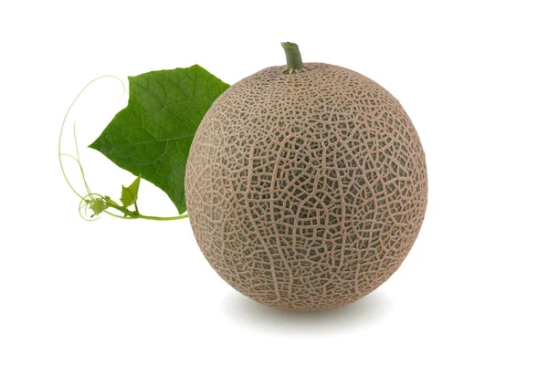 Melons Japonais Melon Cantaloup Avec Graines Isolées Sur Fond Blanc — Photo