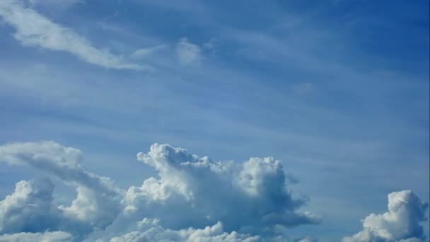 Céu Azul Nuvens Brancas Nuvens Brancas Macias Inchadas Cumulus Cloud — Vídeo de Stock