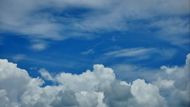 Time Lapse Beautiful Blue Sky Summer Day White Cumulus — Stock Video