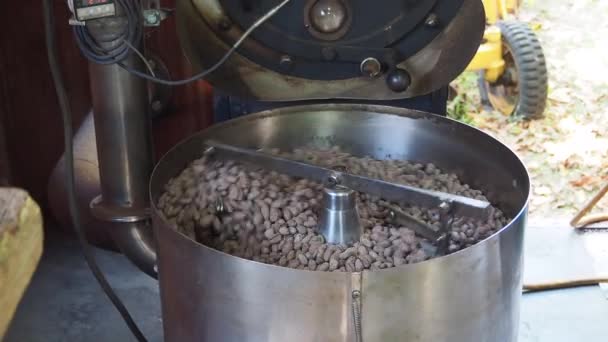Cacao Bean Roosteren Roeren Hete Koekenpan Fornuis Roosteren Hele Cacaobonen — Stockvideo