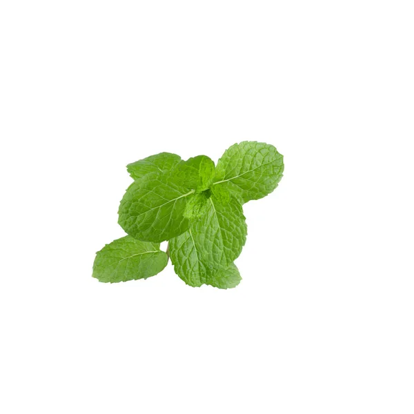 Φύλλα Πράσινου Δυόσμου Απομονωμένα Λευκό Φόντο — Φωτογραφία Αρχείου