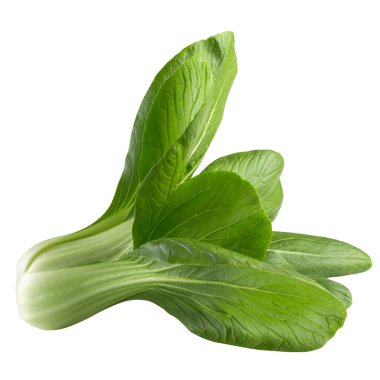 Taze yeşil Çin lahanası, bok choy, pok choi veya pak choi, beyaz arka planda izole edilmiş.