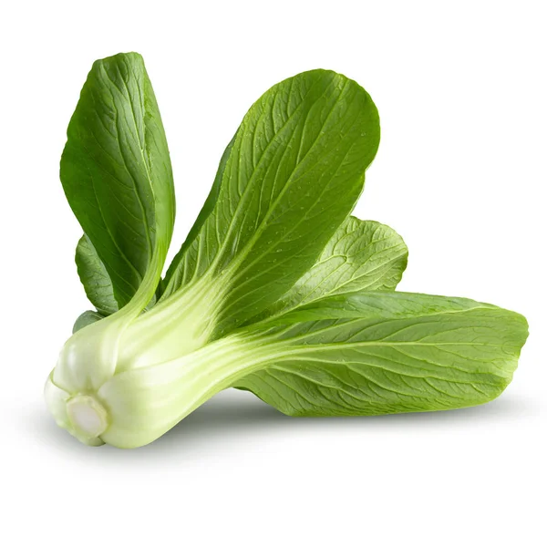 Taze yeşil Çince lahana beyaz arka plan üzerinde izole