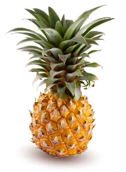 Ripe Pineapple Fruit Isolated White Background — Stock Photo, Image