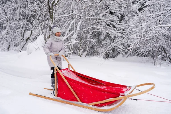 Musher Kvinde Gemmer Sig Bag Slæde Hund Race Sne Vinteren - Stock-foto