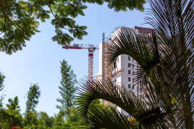 Yüksek kule vincinin arka planında bir palmiye ağacı yaprakları ve mavi gökyüzüne karşı yapım aşamasında olan apartman daireleri. Gayrimenkul geliştirme. Çerçeveleme aşamasında yeni haus