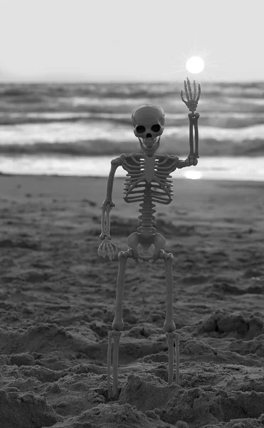 骨格の黒と白の写真が立って 手はビーチで空に輝く太陽を保持します テキスト用スペース付きの夏休み スケルトンおもちゃのコンセプトハロウィンテーマ ビーチバケーションのコンセプト — ストック写真