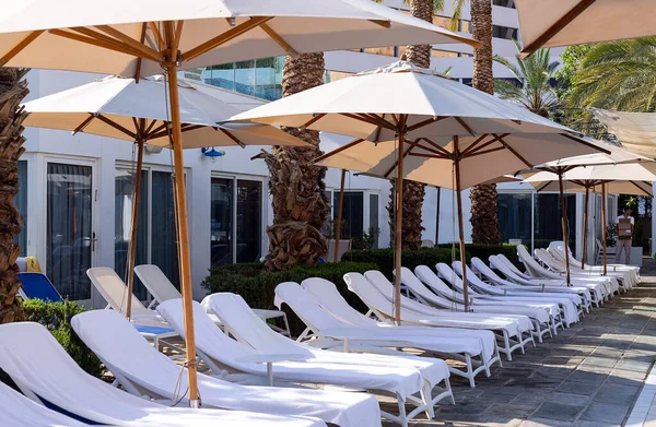 Liegestühle Sonnenschirme Rund Das Schwimmbad Mit Palmen Hintergrund Tourismus Sommerkonzept — Stockfoto