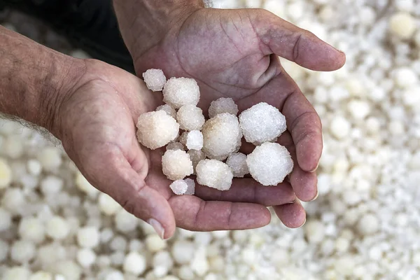 Crystallised Sea-salt from the Dead Sea on the palm of hand. Large round salts crystals in the palms of your hands, close up. Selective focus. Macro of white crystals of rock sea salt. Background