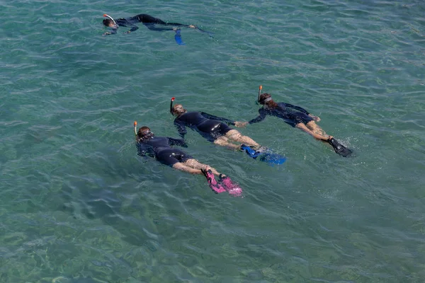 Four female divers with scuba masks and flippers diving in crystal clear water in Eilat, Red sea, Israel. Divers are training at the sea. Young girl diver in black scuba diving suits playing in water