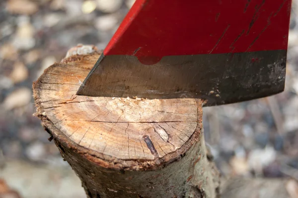 Hoja de hacha y tronco — Foto de Stock