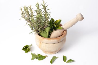 harç bitkiler ve yaprakları tam