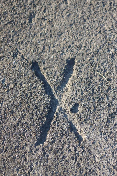 Yerde sadece bir X var. 