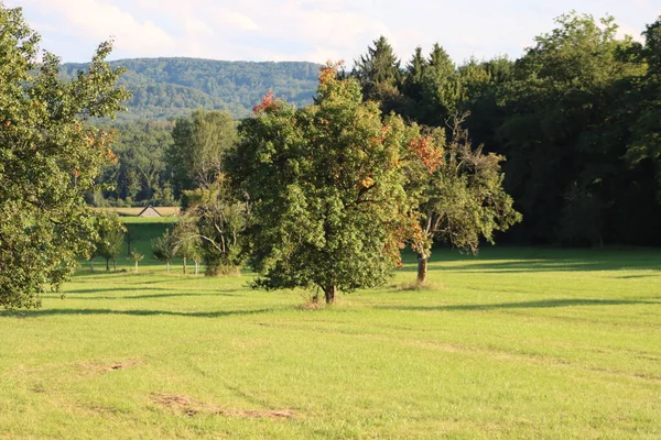 Die Schwäbische Landschaft Herbst — Stockfoto