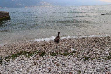 İtalya 'da Garda Gölü' nün tipik deniz manzarası 