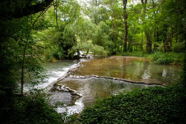 Річка, ліс — стокове фото