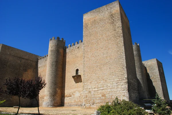 Château de Montealegre — Photo