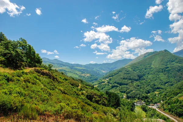 Narcea Nehri Vadisi